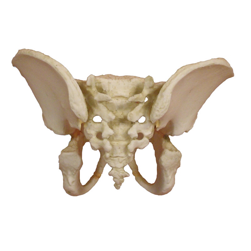 Medenica petletnega otroka