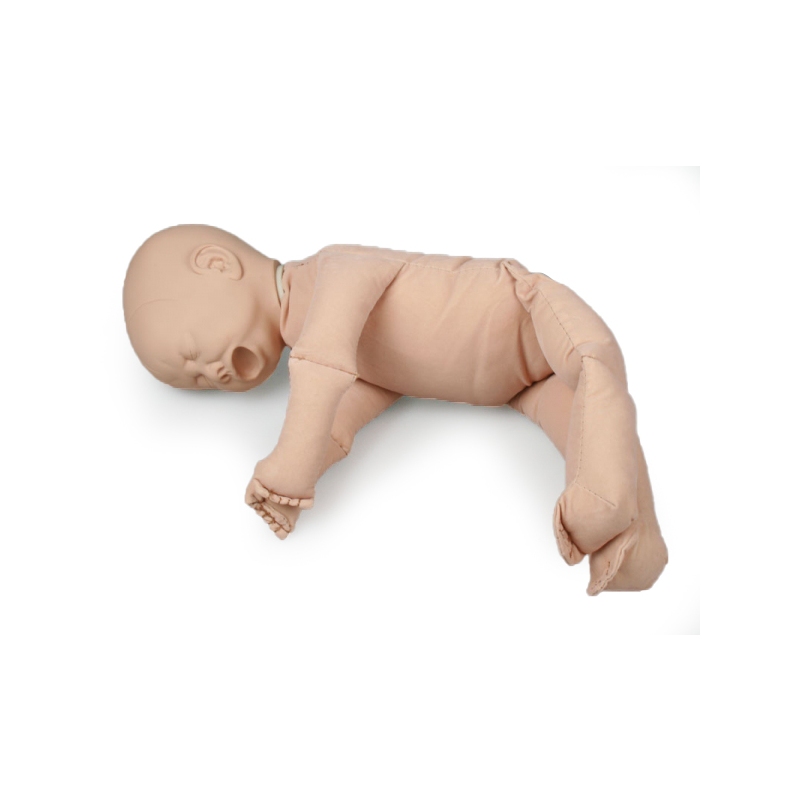 Ženska medenica z lutko ploda