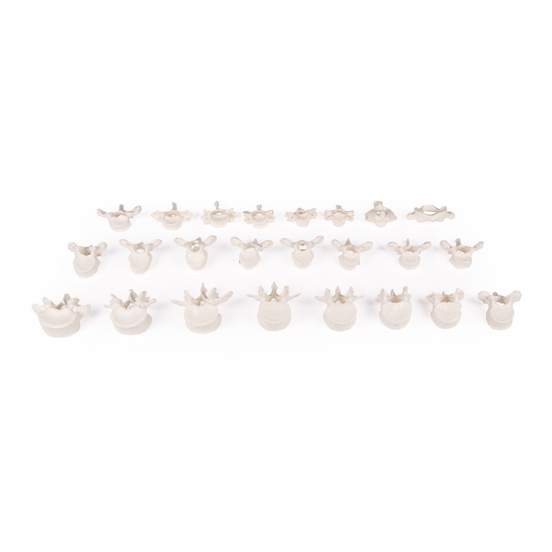 Hrbtenica ohlapna na gumi