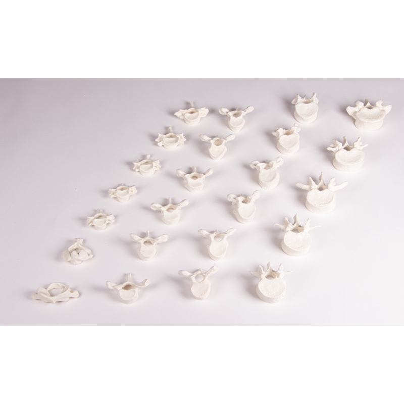 Hrbtenica ohlapna na gumi