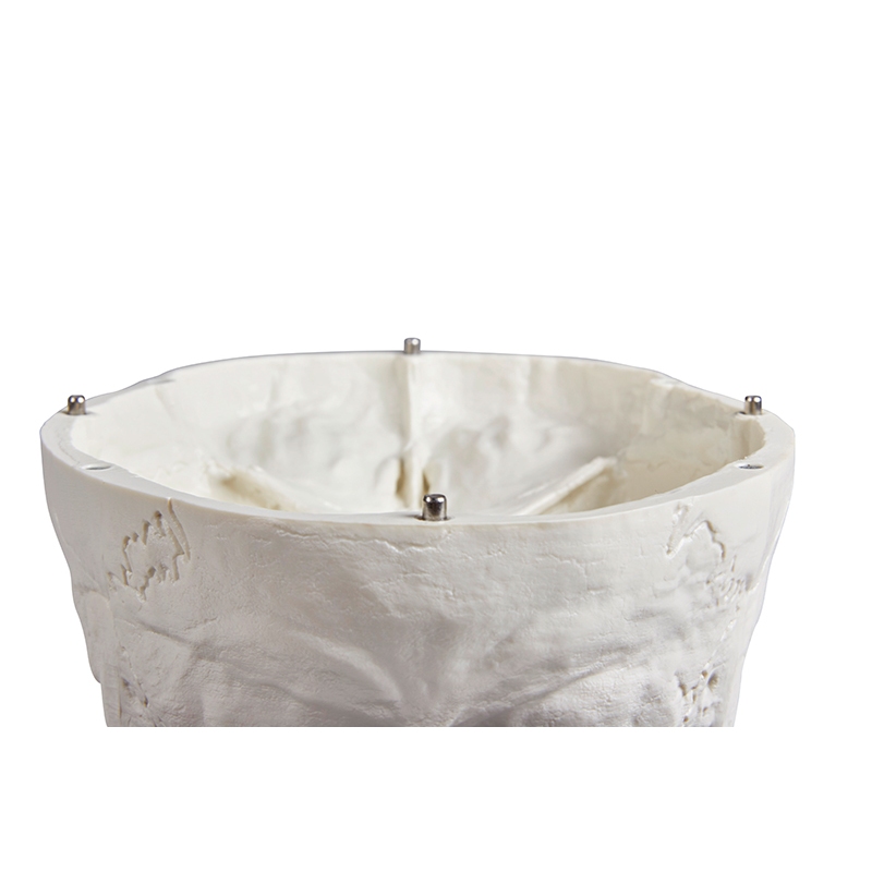 Model lobanje, 3 deli - EZ Augmented Anatomy