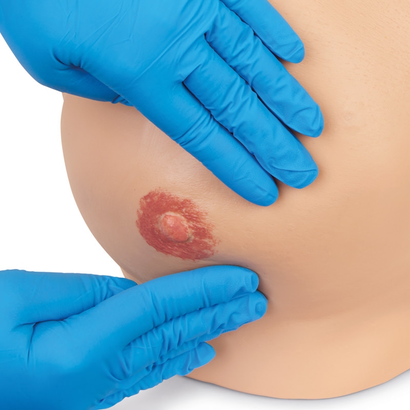 Napredni simulator pregleda dojk