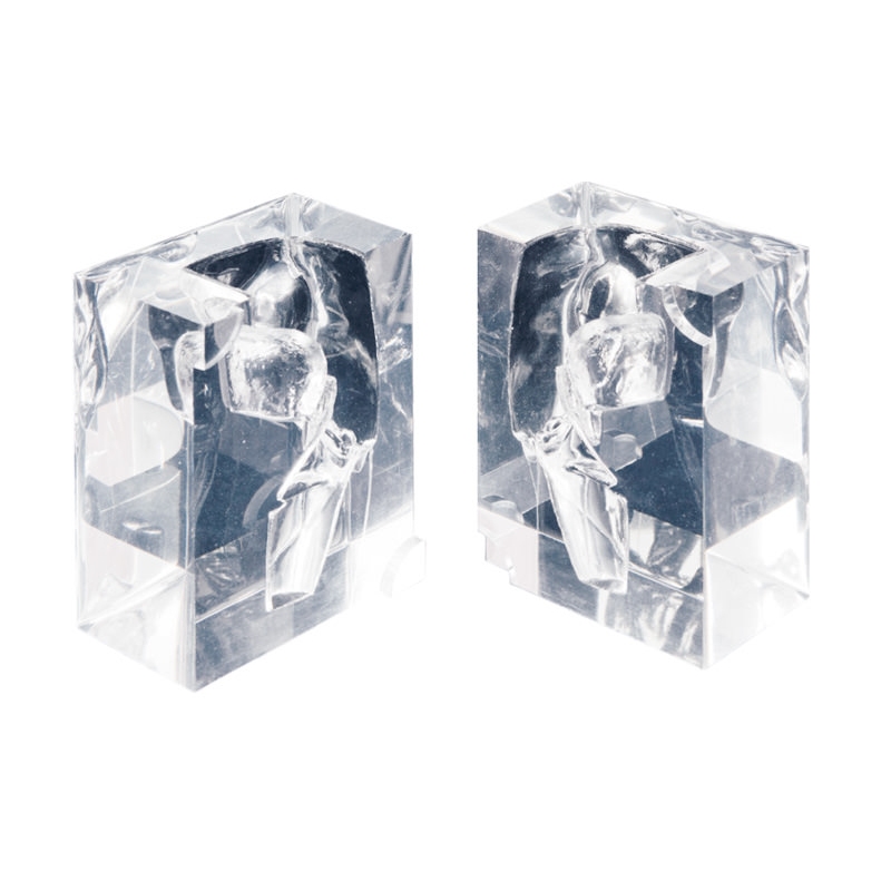 Transparentni model grla in žrela