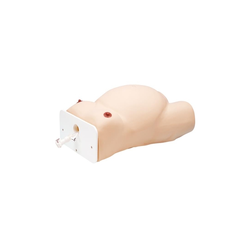 Model z zunanjo glavno različico