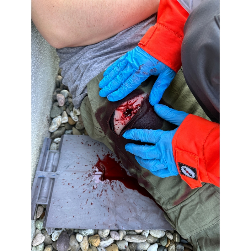 Mulaža rane, strel v dimlje, povijanje rane