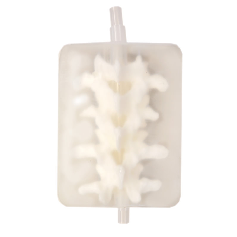 Fantom za usposabljanje za fluoroskopijo ledvene hrbtenice