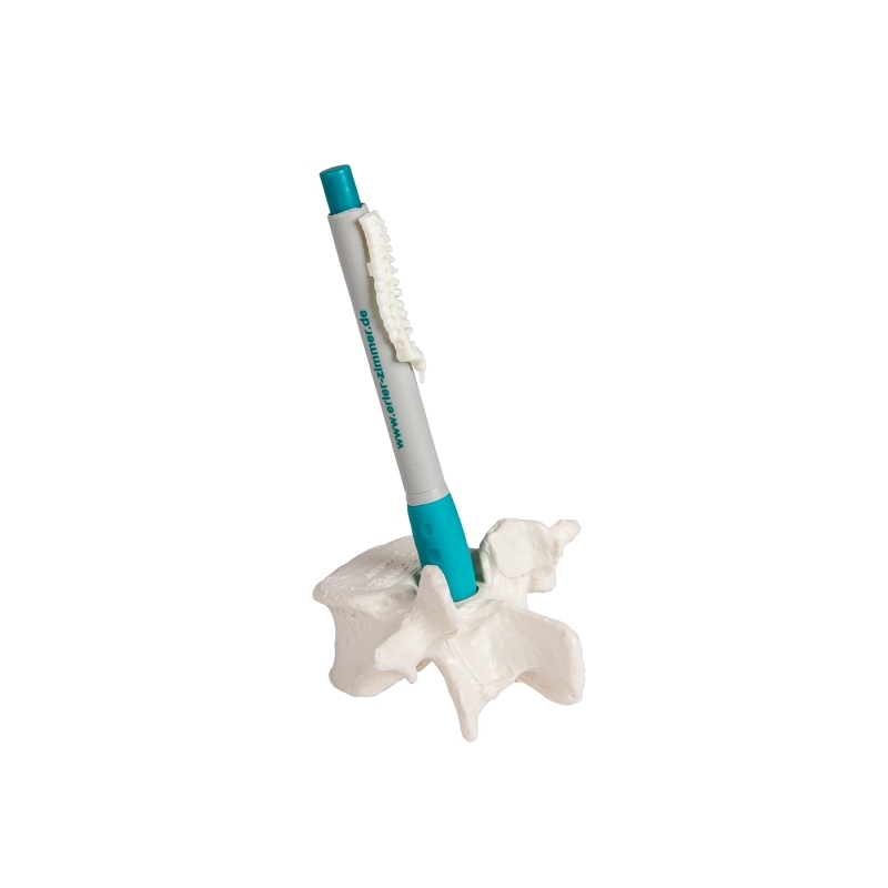 Držalo za pisala Vertebra s pisalom