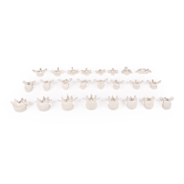 Hrbtenica ohlapna na gumi