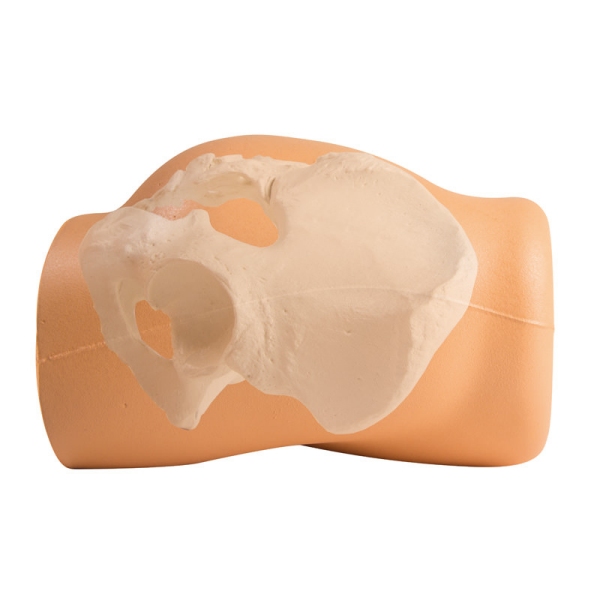 Simulator za i.m. injiciranje in punkcijsko biopsijo iliakalnega grebena