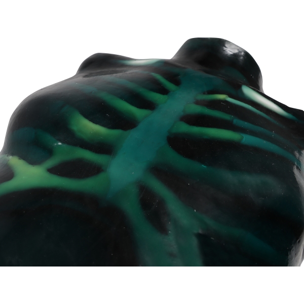 "Echo Eddie" Napredni simulator ultrazvočnega pregleda