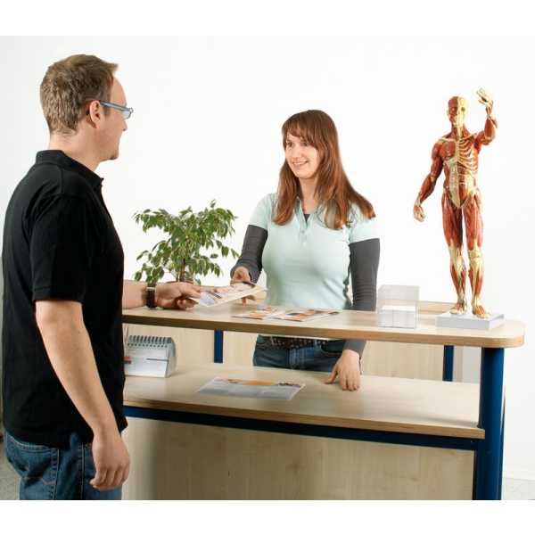 Mišična figura, 30 delov, 85 cm