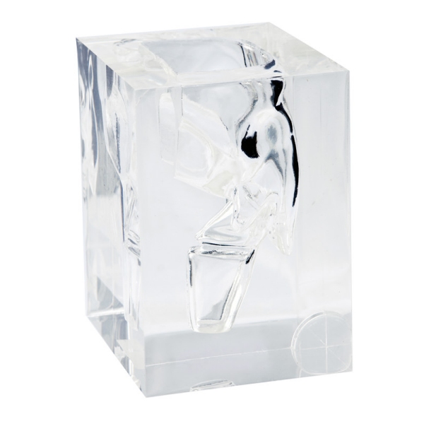 Transparentni model grla in žrela