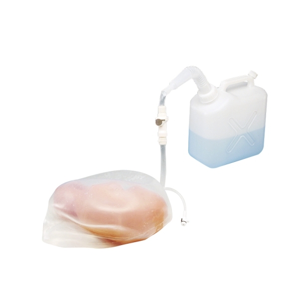 Model z zunanjo glavno različico