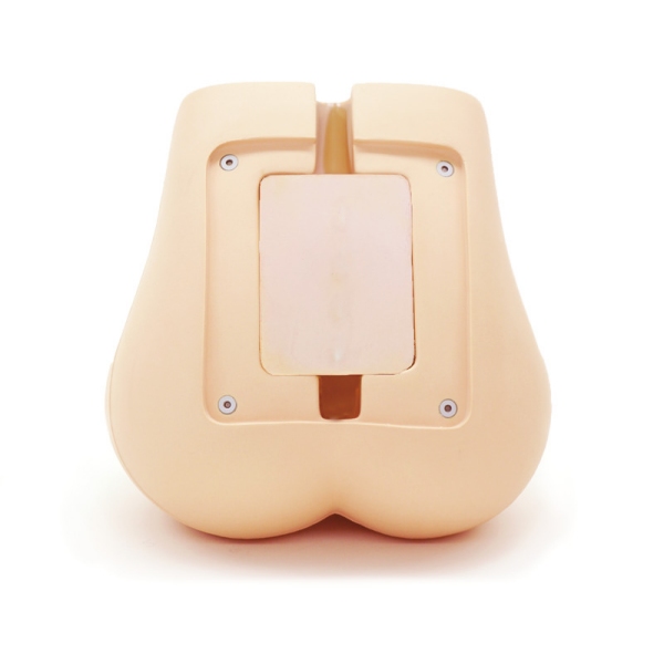 Fantom za usposabljanje za fluoroskopijo ledvene hrbtenice