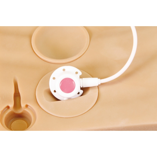 Port - "Telo v škatli"