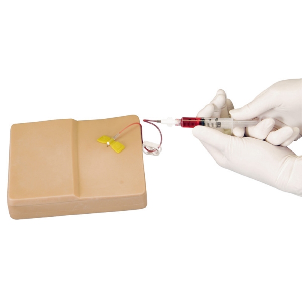 Port - "Telo v škatli"