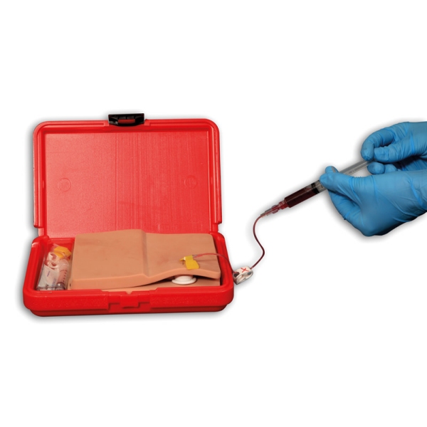 Port - "Telo v škatli"