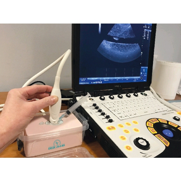 Ultrazvočni trenažer SonoEZ "ožilje"