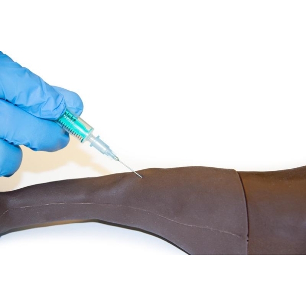 Trenažer za pasjo venipunkcijo in vbrizgavanje