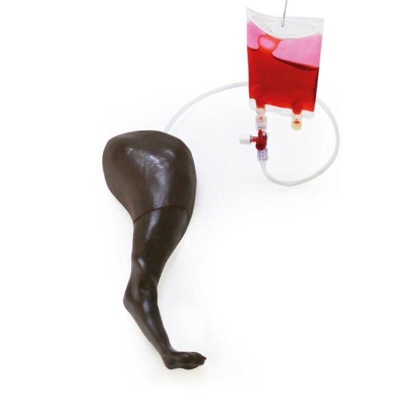 Trenažer za pasjo venipunkcijo in vbrizgavanje