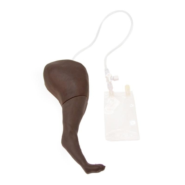 Trenažer za pasjo venipunkcijo in vbrizgavanje