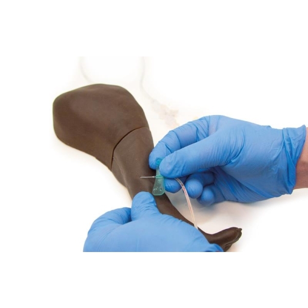 Trenažer za pasjo venipunkcijo in vbrizgavanje