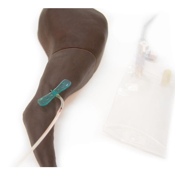 Trenažer za pasjo venipunkcijo in vbrizgavanje