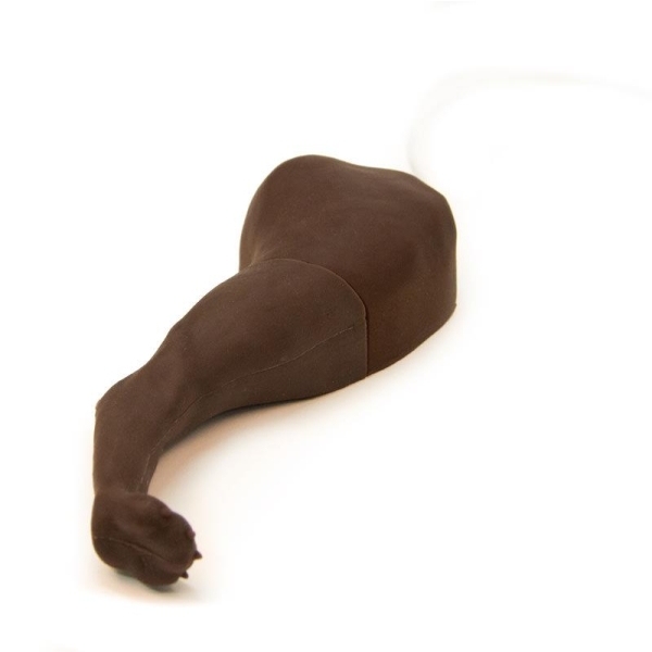 Trenažer za pasjo venipunkcijo in vbrizgavanje