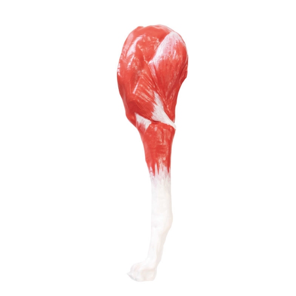 Model psa (nemški ovčar), 11 delov, 2/3 naravne velikosti