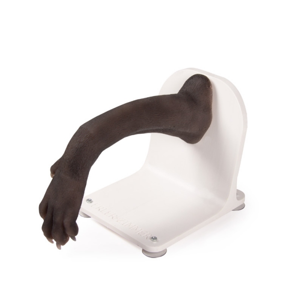 Bandažni trenažer pasje tačke