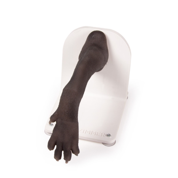 Bandažni trenažer pasje tačke