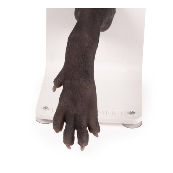 Bandažni trenažer pasje tačke