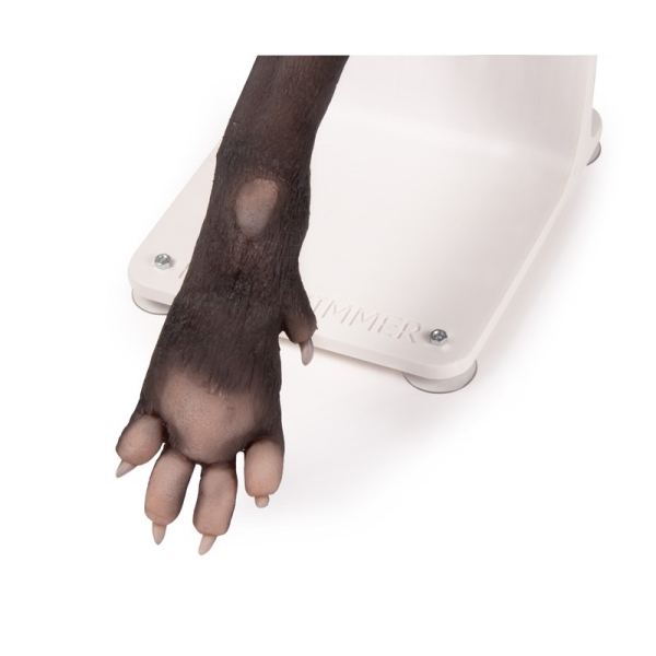 Bandažni trenažer pasje tačke