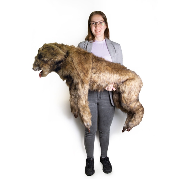 "Rocky" lutka za pozicioniranje psov