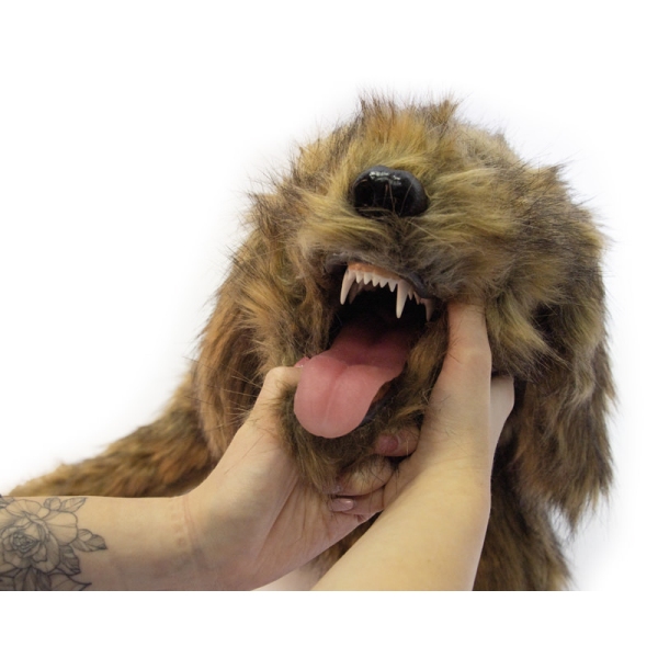 "Rocky" lutka za pozicioniranje psov