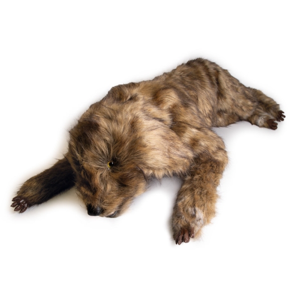 "Rocky" lutka za pozicioniranje psov