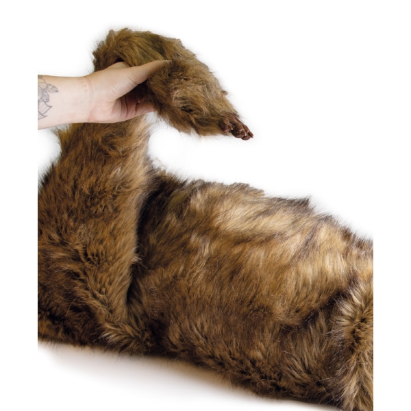 "Rocky" lutka za pozicioniranje psov