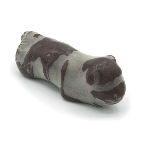 Ginekološko usposabljanje psa Bella