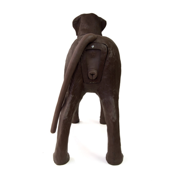 Ginekološko usposabljanje psa Bella