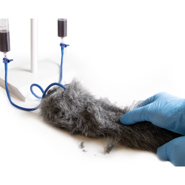 IV. Vbrizgavanje noge psov