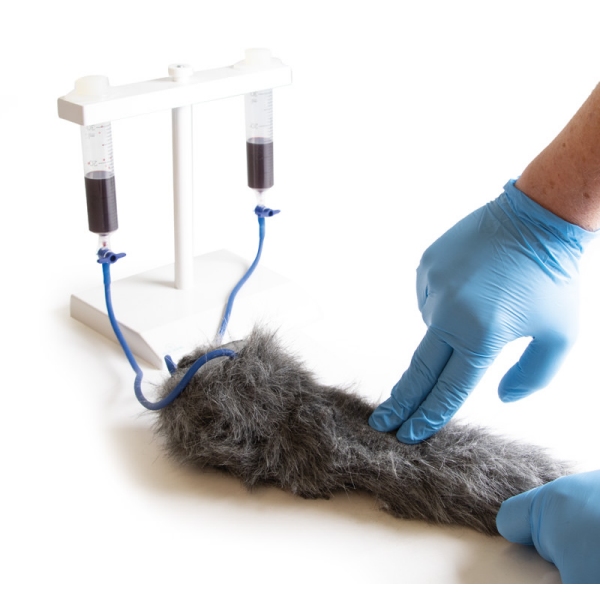 IV. Vbrizgavanje noge psov