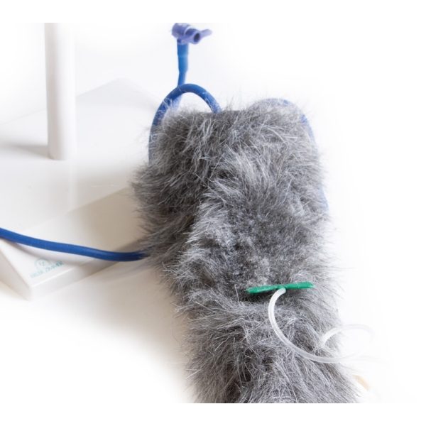 IV. Vbrizgavanje noge psov