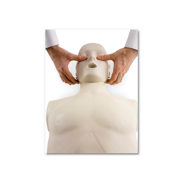 Komplet 4 TPO lutk z gibljivo brado in monitorjem