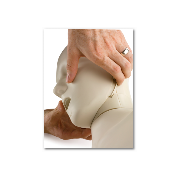 Komplet 4 TPO lutk z gibljivo brado in monitorjem