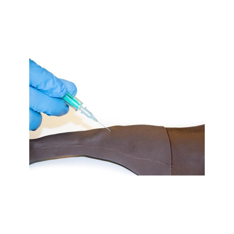 Trenažer za pasjo venipunkcijo in vbrizgavanje