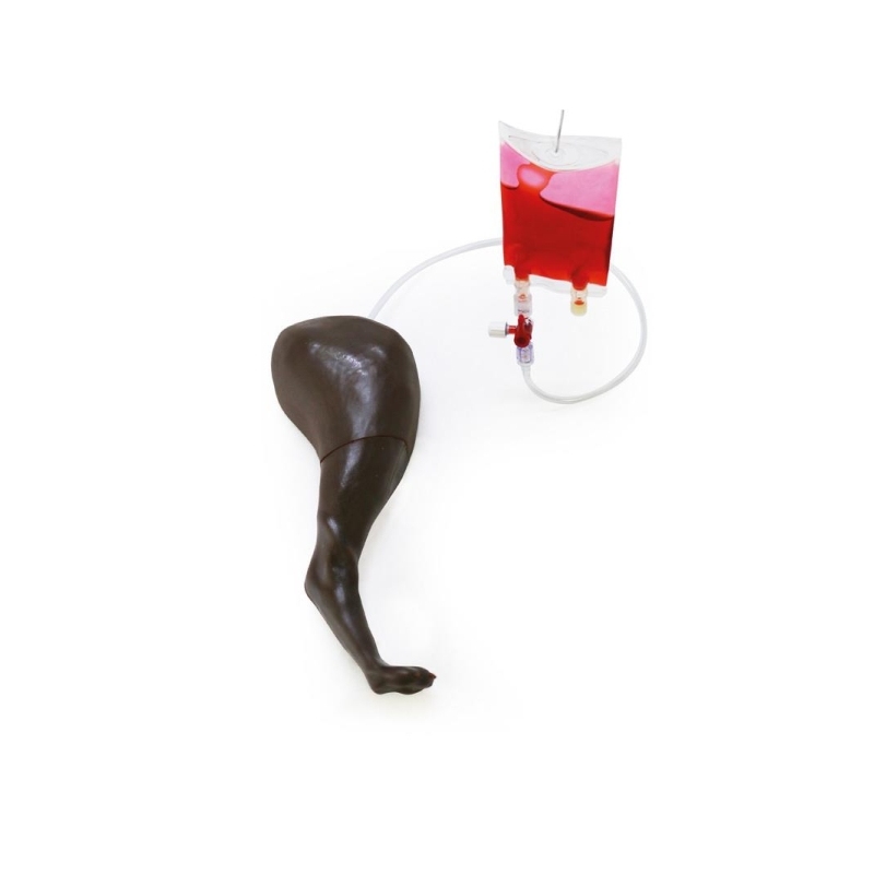 Trenažer za pasjo venipunkcijo in vbrizgavanje