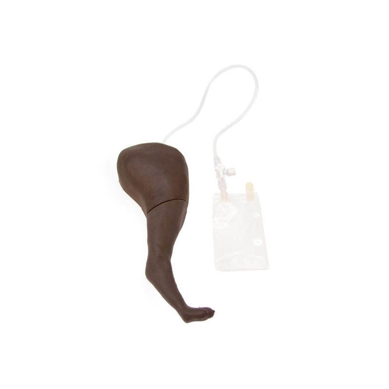 Trenažer za pasjo venipunkcijo in vbrizgavanje