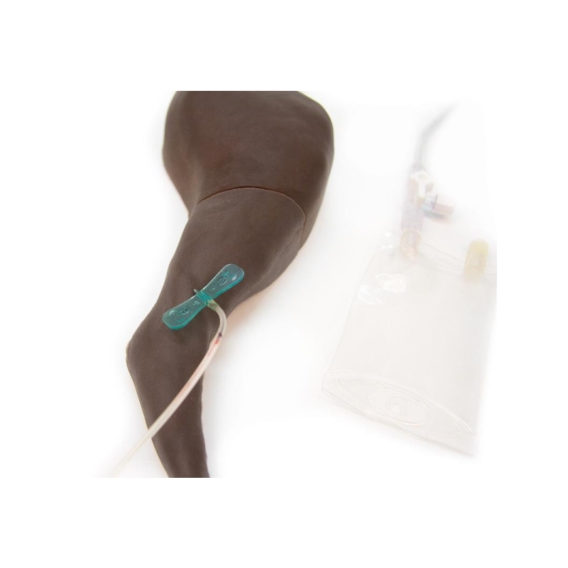 Trenažer za pasjo venipunkcijo in vbrizgavanje