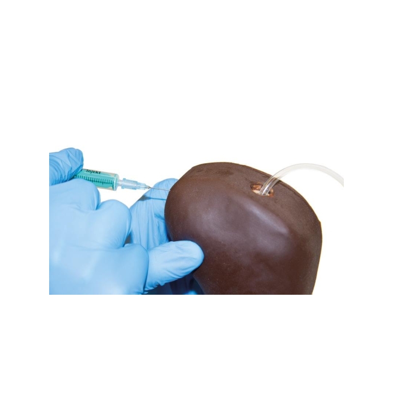 Trenažer za pasjo venipunkcijo in vbrizgavanje