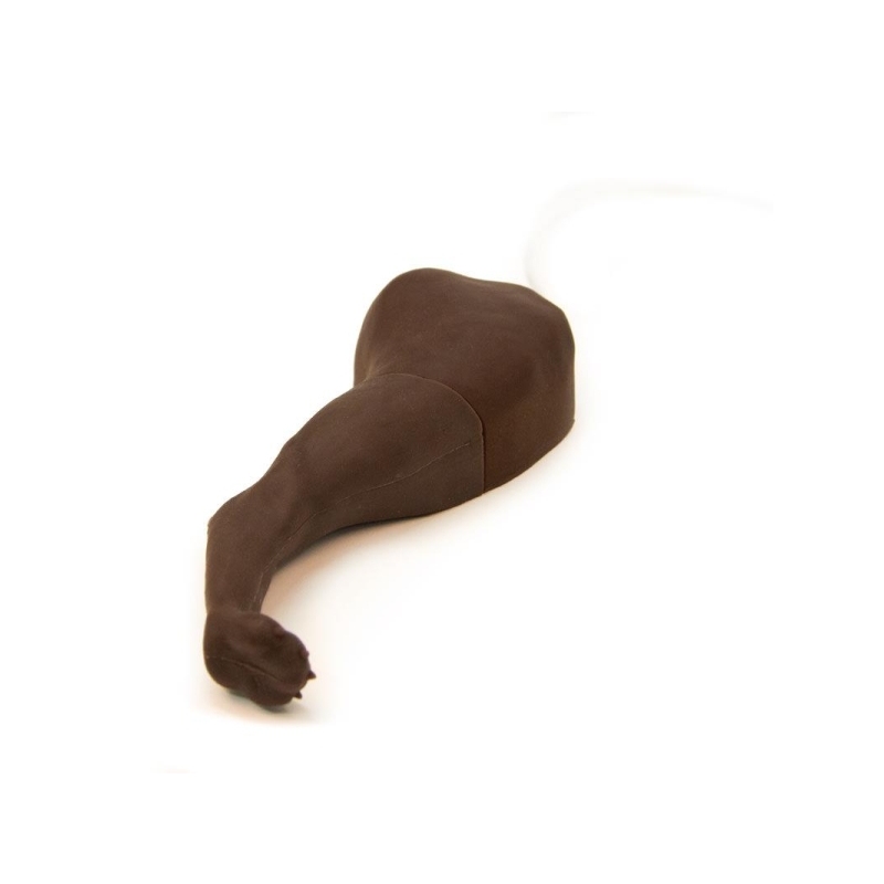 Trenažer za pasjo venipunkcijo in vbrizgavanje